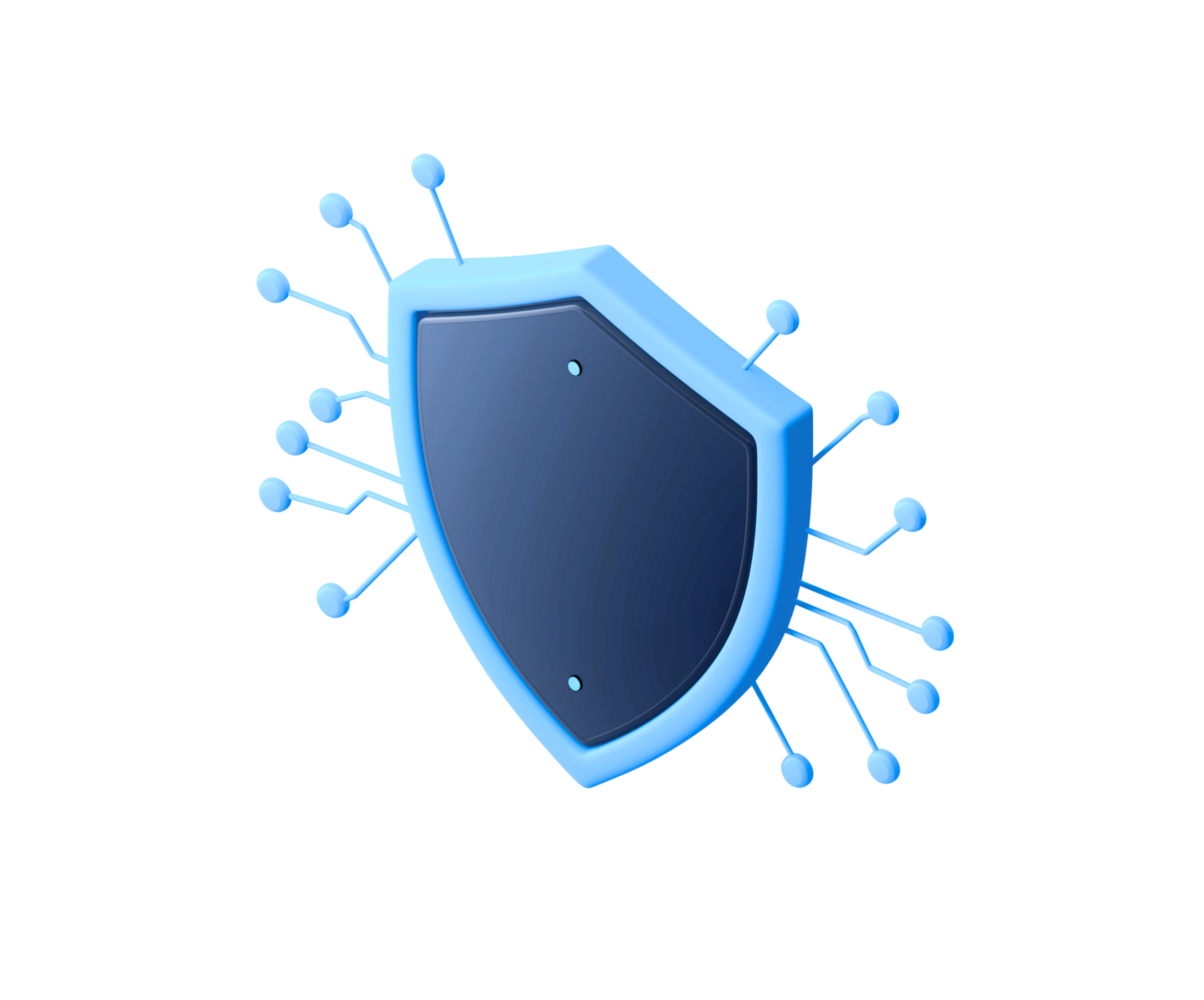 Web Application Firewall